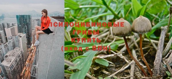 дмт Алексин
