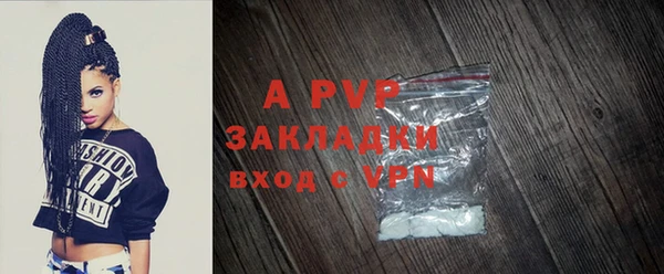 дмт Алексин